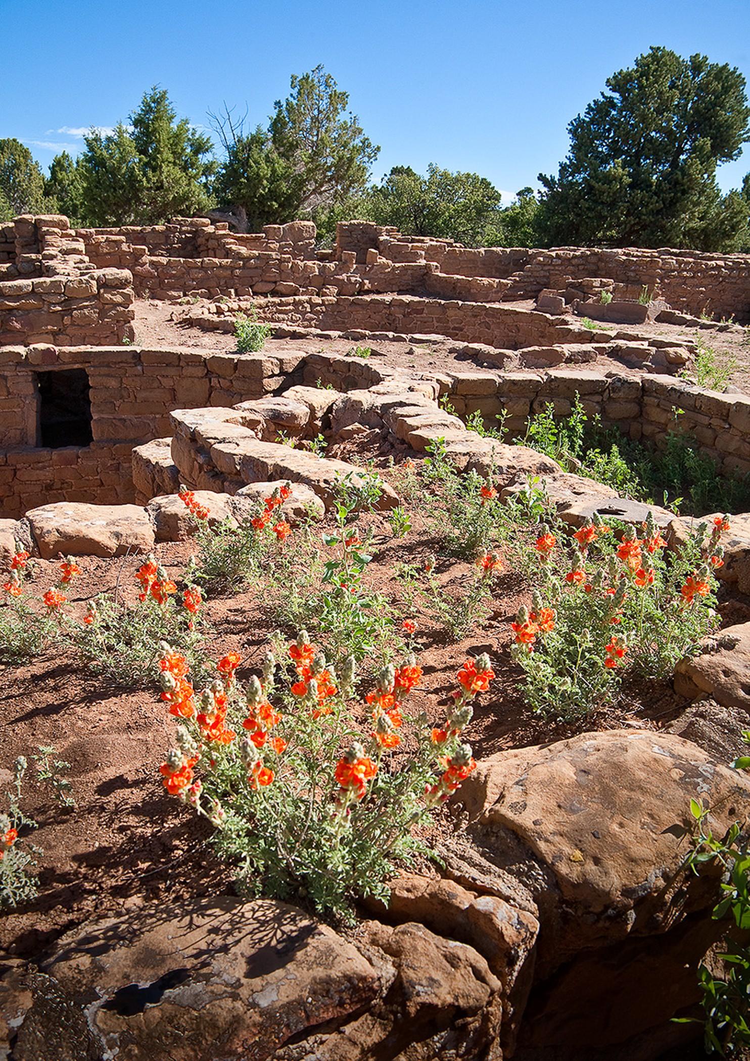 Far View Lodge Mesa Verde National Park Luaran gambar